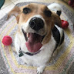 Meet your Posher, Plaid